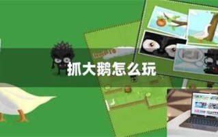 抓大鹅怎么玩