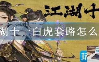 江湖十一白虎套路怎么搭
