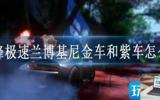 巅峰极速兰博基尼金车和紫车怎么选