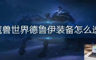 魔兽世界德鲁伊装备怎么选