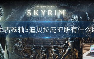 上古卷轴5迪贝拉庇护所有什么用