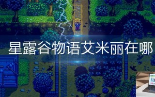 星露谷物语艾米丽在哪