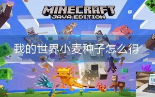 我的世界小麦种子怎么得