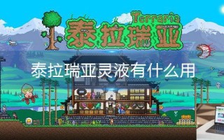 泰拉瑞亚灵液有什么用
