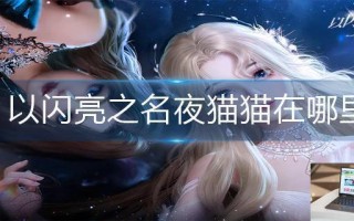 以闪亮之名夜猫猫在哪里