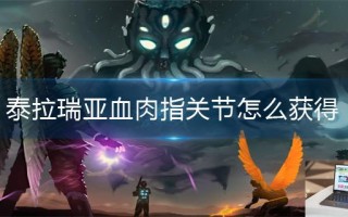 泰拉瑞亚血肉指关节怎么获得