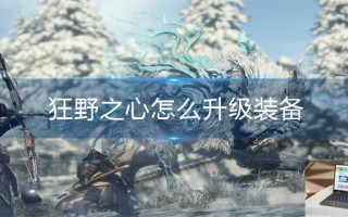 狂野之心怎么升级装备