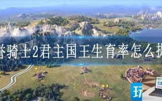 荣誉骑士2君主国王生育率怎么提高