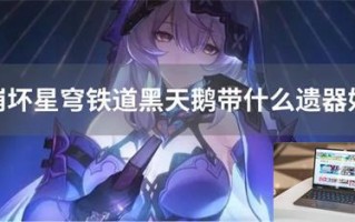 崩坏星穹铁道黑天鹅带什么遗器好