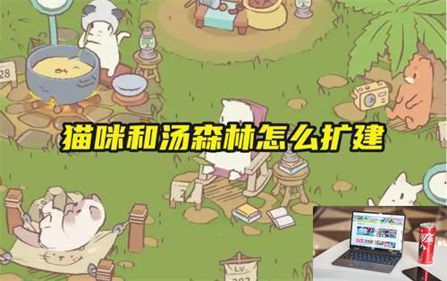 猫咪和汤森林怎么扩建-第1张图片-零力游戏日记
