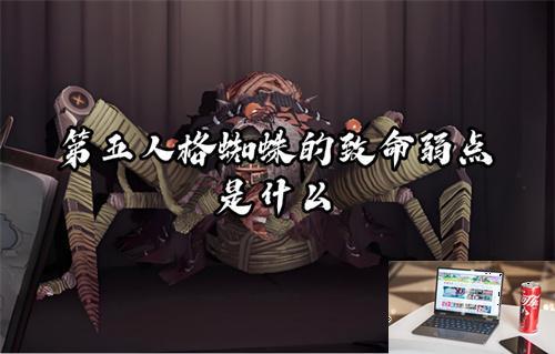 第五人格蜘蛛的致命弱点是什么-第1张图片-零力游戏日记