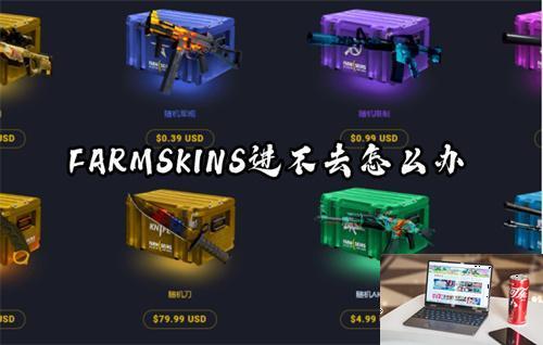 FARMSKINS进不去怎么办-第1张图片-零力游戏日记