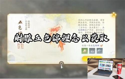 射雕五色锦鲤怎么获得-第1张图片-零力游戏日记