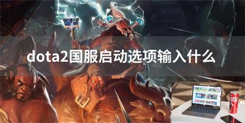dota2国服启动选项输入什么-第1张图片-零力游戏日记
