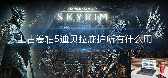 上古卷轴5迪贝拉庇护所有什么用-第1张图片-零力游戏日记