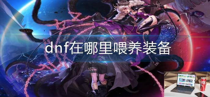 dnf在哪里喂养装备-第1张图片-零力游戏日记