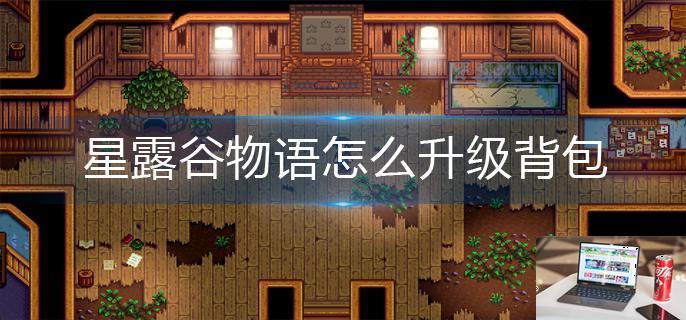 星露谷物语怎么升级背包-第1张图片-零力游戏日记