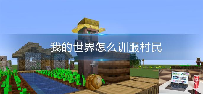 我的世界怎么训服村民-第1张图片-零力游戏日记