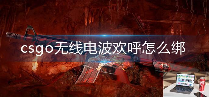 csgo无线电波欢呼怎么绑-第1张图片-零力游戏日记