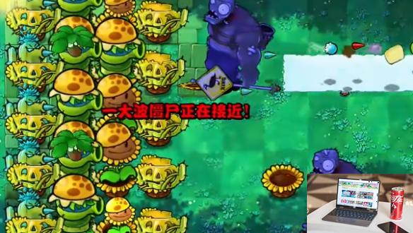 植物大战僵尸杂交版挑战模式第十六关怎么过-植物大战僵尸杂交版挑战模式第16关攻略-第5张图片-零力游戏日记