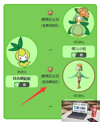 宝可梦传说阿尔宙斯裙儿小姐怎么获得-第2张图片-零力游戏日记
