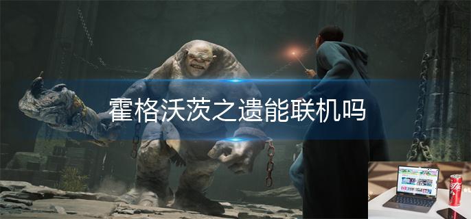 霍格沃茨之遗霍格沃茨之遗能联机吗-第1张图片-零力游戏日记