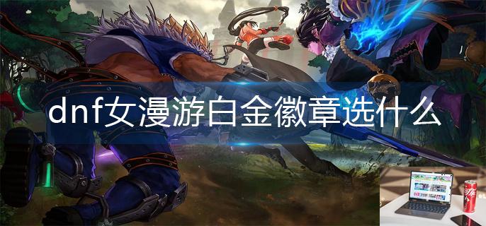 dnf女漫游白金徽章选什么-第1张图片-零力游戏日记