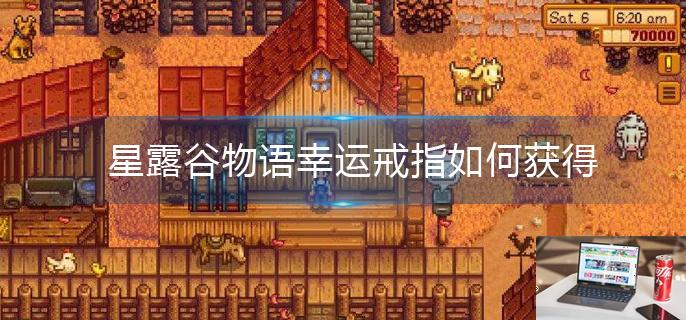 星露谷物语幸运戒指如何获得-第1张图片-零力游戏日记