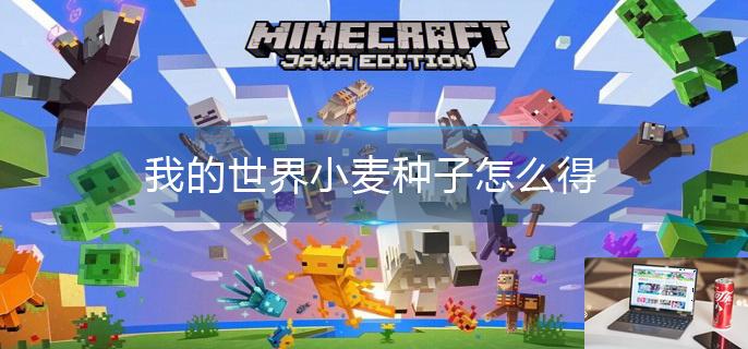 我的世界小麦种子怎么得-第1张图片-零力游戏日记