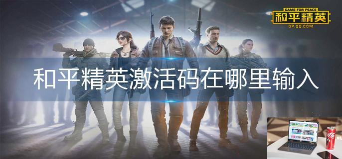 和平精英激活码在哪里输入-第1张图片-零力游戏日记