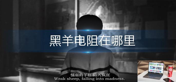 黑羊电阻在哪里-第1张图片-零力游戏日记