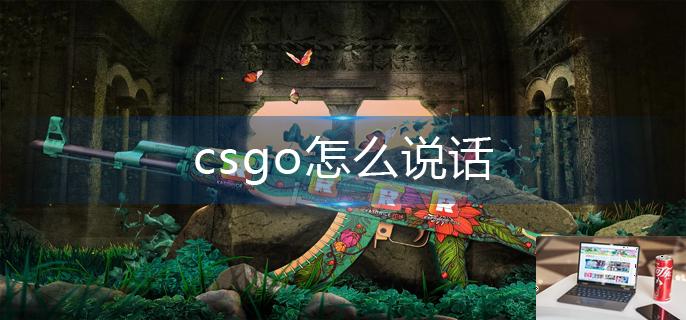 csgo怎么说话-第1张图片-零力游戏日记