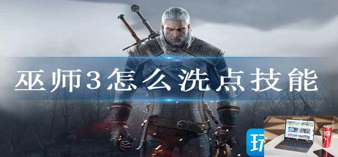 巫师3怎么洗点技能-第1张图片-零力游戏日记