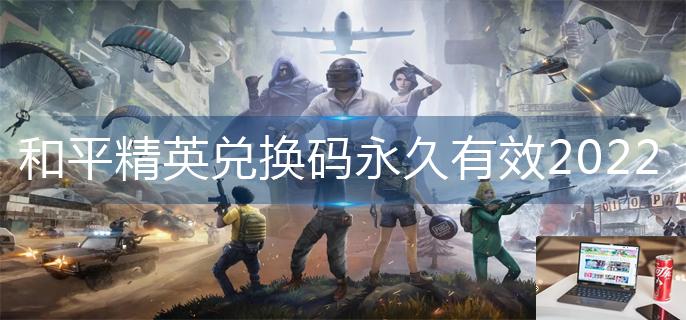和平精英兑换码永久有效2022-第1张图片-零力游戏日记