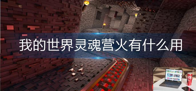 我的世界灵魂营火有什么用-第1张图片-零力游戏日记