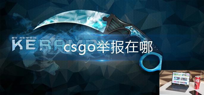csgo举报在哪-第1张图片-零力游戏日记