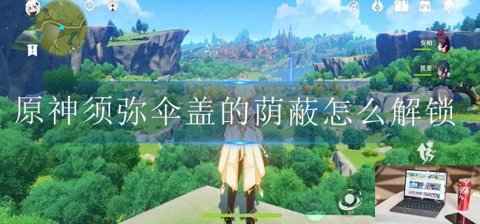 原神须弥伞盖的荫蔽怎么解锁-第1张图片-零力游戏日记 原神须弥伞盖的荫蔽怎么解锁-第1张图片-零力游戏日记