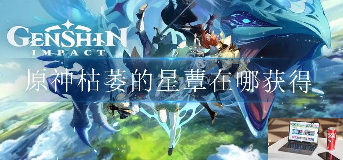 原神枯萎的星蕈在哪获得-第1张图片-零力游戏日记
