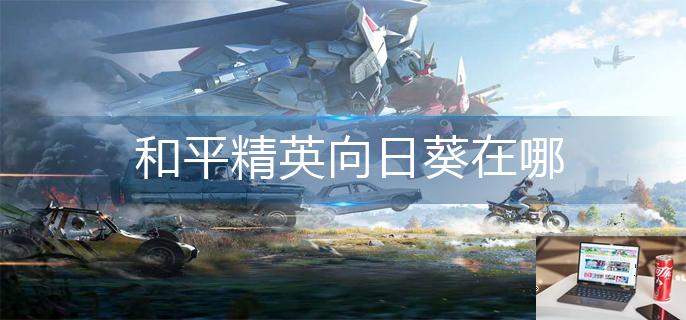 和平精英向日葵在哪-第1张图片-零力游戏日记